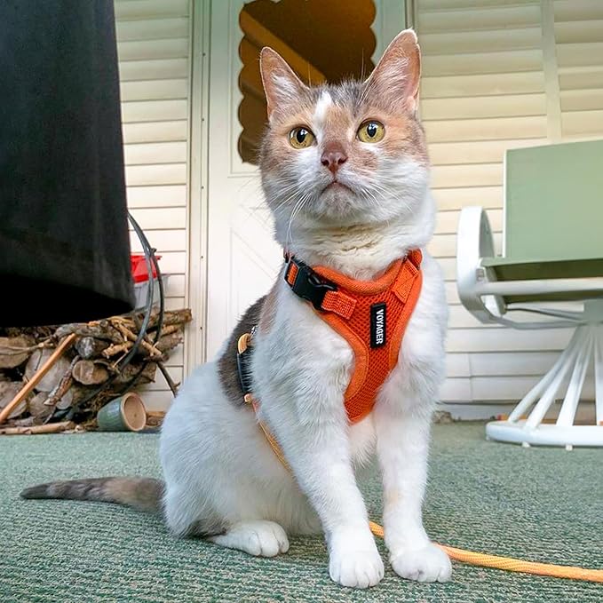 Voyager Escape-Proof Step-in Lock Cat Harness & 5ft Neoprene-Handle Leash Set All-Weather Mesh with Reflective Stitching for Small to Large Cats by Best Pet Supplies, Orange, XXXS