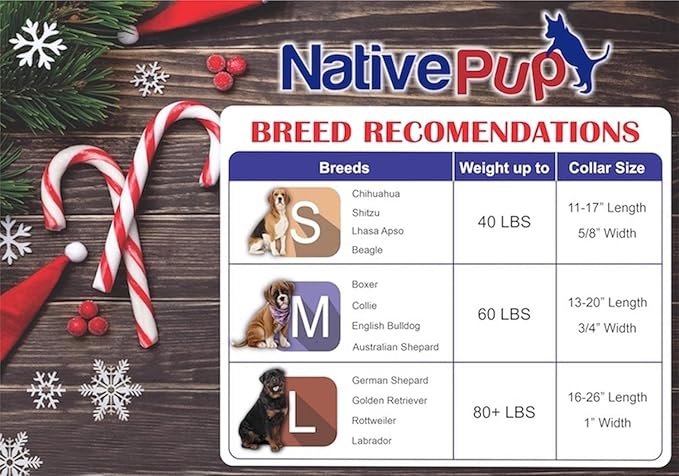 Native Pup Christmas Dog Collar- Winter Holiday Collars for Pets- Xmas Gift for Puppy- Santa, Reindeer, Snowman, Candy Cane, Red Green- Girl Boy- Small, Medium, Large Breeds (Red Snowflake, Large)