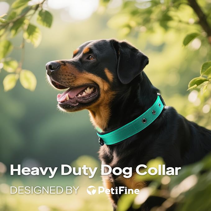 PetiFine Dog Collar for Large Dogs, Neoprene Padded and Adjustable, Reflective Wide Heavy Duty Pet Collars with Durable Metal Belt Buckle for Walking, Teal, L