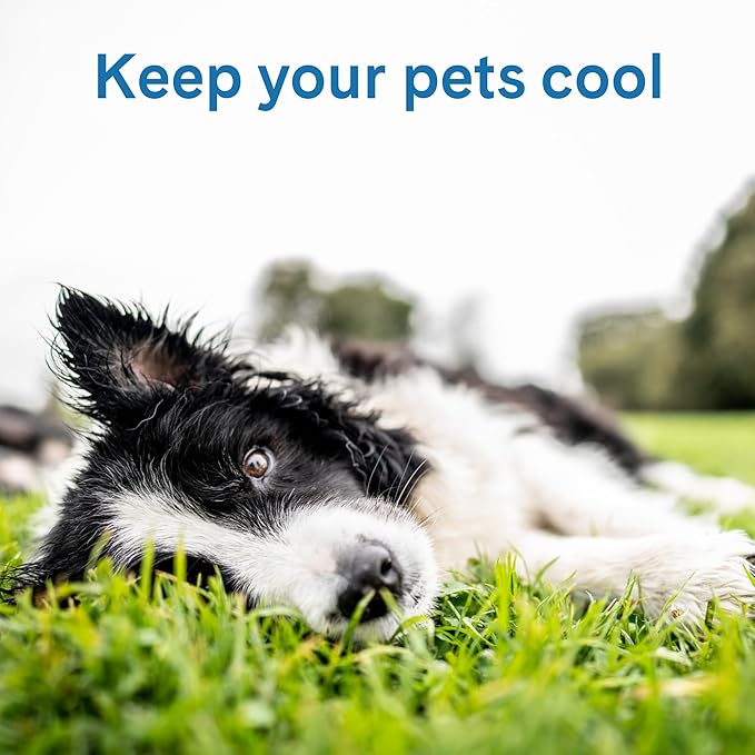 The Green Pet Shop Cool Pet Pad - Medium, Blue - Self-Cooling, Pressure Activated Mat for Dogs & Cats from 21-45 lbs - Non-Toxic Gel, No Water Needed