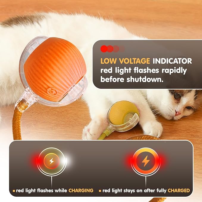 Rocfish Interactive Cat Toy for Indoor Cat, Smart Automatic Cat Chase Ball Toy (Orange-N)
