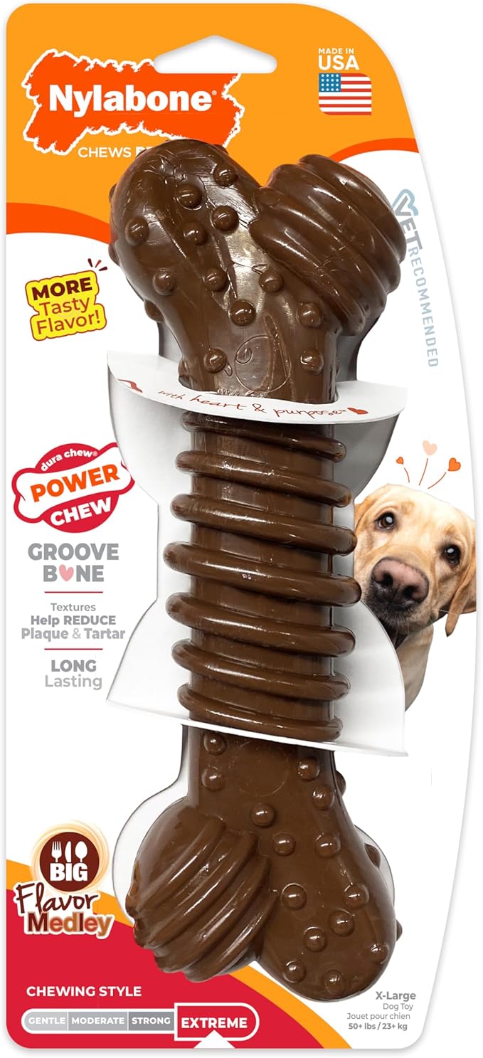 Nylabone Textured Dental Bone Power Chew Toy for Dogs, Dog Toys for Aggressive Chewers, Flavor Medley Flavor, X-Large - 50+ lbs, 1 Count