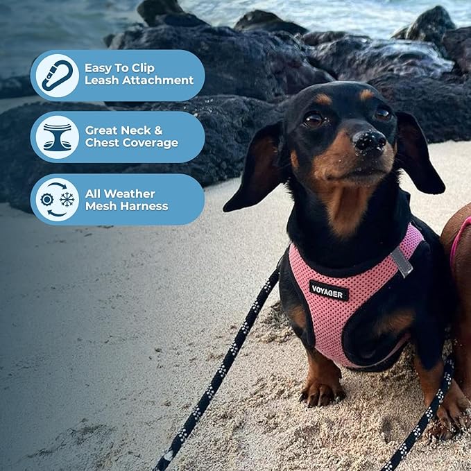 Best Pet Supplies Voyager Step-in Air All Weather Mesh Harness and Reflective Dog 5 ft Leash Combo with Neoprene Handle, for Small, Medium and Large Breed Puppies - Pink Base, XS