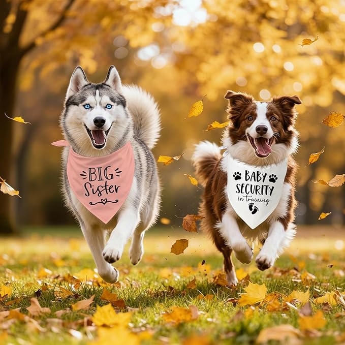 Big Sister&Baby Security in Training Dog Bandana, Dog Bandanas for Dogs Pet Accessories for Dogs Lovers Pregnancy Reveal Ideas, Soft Triangle Scarf for Small Medium Large Dogs (Big Sister Pink)