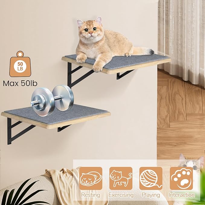 Burlywood Cat Furniture Indoor Set of 2: Wood Shelves with Scratching Pad, Climbing Shelf for Sleeping & Playing, Window Perch for Big Cats