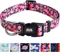 QQPETS Adjustable Soft Dog Collar: Print Flower Pink Multicolor Cute Patterns for XS Small Medium Large Pet Girl Boy Puppy Walking Running Training