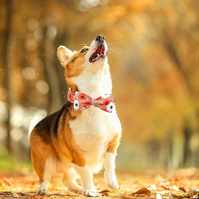 Fall Dog Collar, Pet Collar Bow Floral Pet Collar Girl Boy Holiday Collars Gift Bow Cute Soft Puppy Collars for X-Small