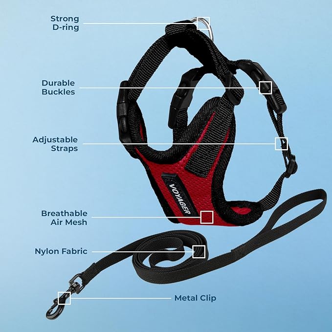 Voyager Escape-Proof Step-in Lock Cat Harness & 5ft Neoprene-Handle Leash Set All-Weather Mesh with Reflective Stitching for Small to Large Cats by Best Pet Supplies, Red/Black Trim, XXXS