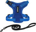 Voyager Escape-Proof Step-in Lock Cat Harness & 5ft Neoprene-Handle Leash Set All-Weather Mesh with Reflective Stitching for Small to Large Cats by Best Pet Supplies, Royal Blue, XS