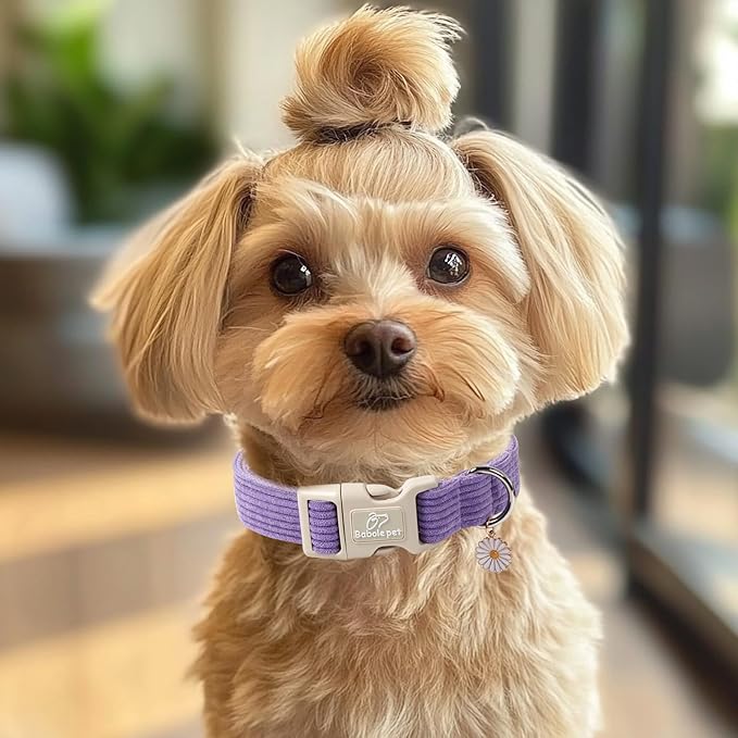 Cute Corduroy Dog Collar - Lavender Adjustable Dog Collars for X-Large Dogs 80+lbs, Fade-Proof with Secure Snap & Little Charm, Christmas Birthday Gift, XL