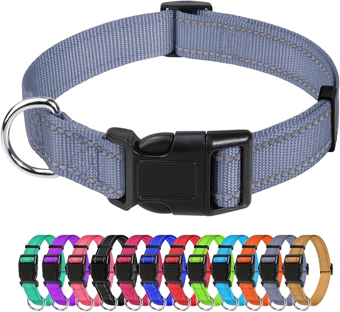 TagME Reflective Nylon Dog Collars, Adjustable Classic Pet Collar with Quick Release Buckle for Medium Dogs, Grey, 1.0" Width