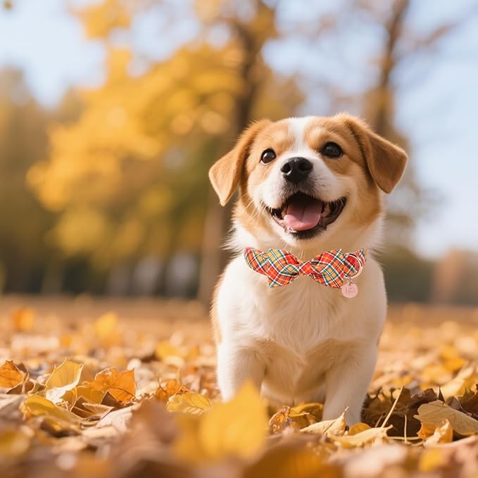 Autumn Plaid Dog Collar and Bow Tie Set – Orange Yellow Checkered Adjustable Fall Collar with Maple Leaf Charm for Small Medium Large Dogs, Soft Cotton Pet Collars with Buckle and D-Ring