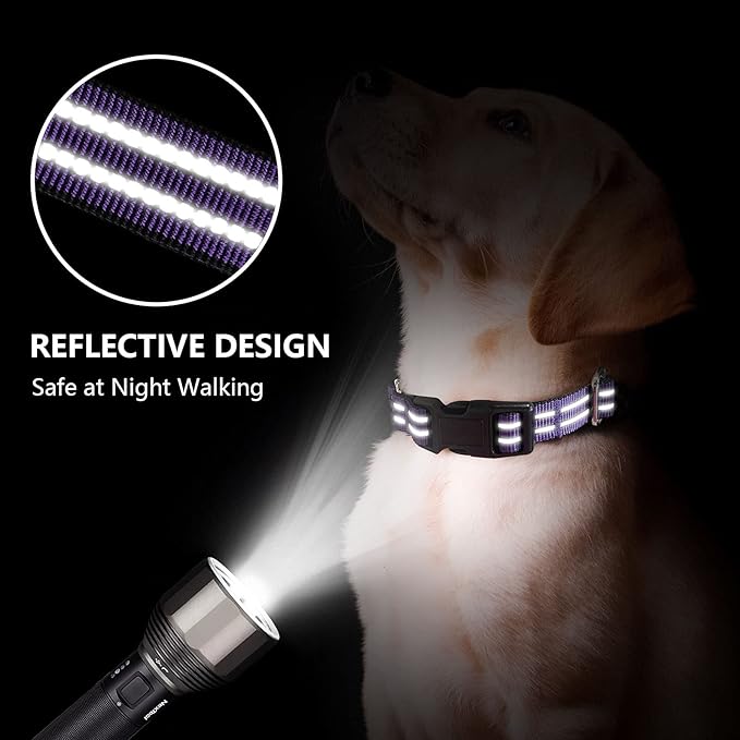 Hikiko Martingale Collar for Dogs Reflective Nylon Dog Collar with Quick Release Buckle Adjustable Training No Slip Dog Collar (Large, Purple)