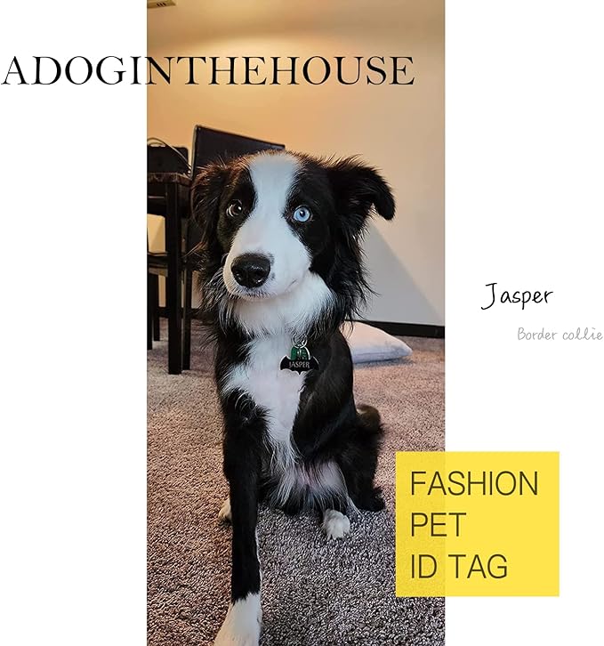 316 Surgical Grade Stainless Steel Personalized Dog & Cat ID Tags - Engraved Name or Text for Pet Collar Accessories, Original Funny Shapes (Square)