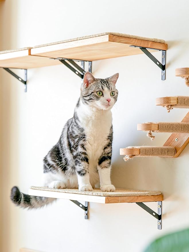FUKUMARU Cat Wall Shelves, 17 x 10 Inch Cat Walls Furniture with Sisal Mat, Solid Rubber Wood Floating Shelf with Upgraded Installation, Kitten Wall Tree for Sleeping, Playing and Scratching