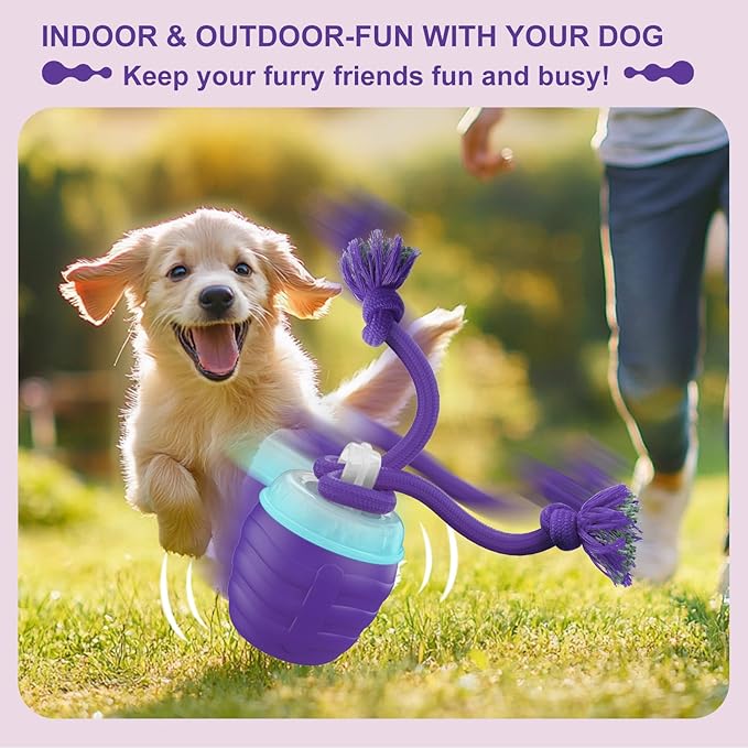 Interactive Dog Toy, [Newly Upgraded] Motion Activated Rolling Squeaky Ball for Medium/Large Dogs, Automatic Moving Dogs Ball for Boredom, USB Rechargeable(Purple)
