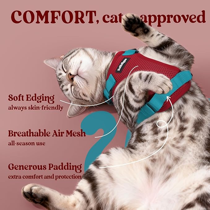 rabbitgoo Cat Harness and Leash for Walking, Escape Proof Soft Adjustable Vest Harnesses for Cats, Easy Control Breathable Reflective Strips Jacket, Red & Teal, S
