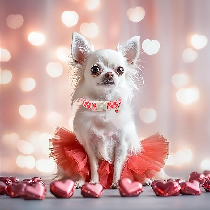 Valentines Dog Collar for Small Dogs - Valentine Red Conversation Hearts Dog Collars, Love Boy Girl Dogs Collars, Lightweight Adjustable Cute Puppy Collar with Quick-Release Buckle XS
