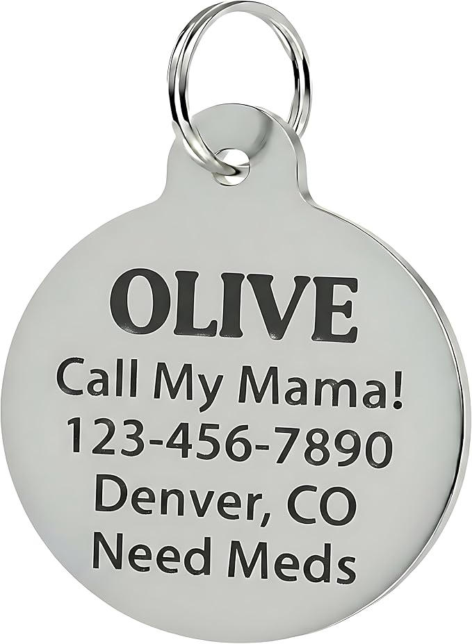 Bad Tags Personalized Dog and Cat ID Tags in 25+ Designs and 2 Sizes - 5 Lines of Custom Engraved Text - Funny Cute Personalized Pet Tags (Spoiled Rotten, Small (1 inch))