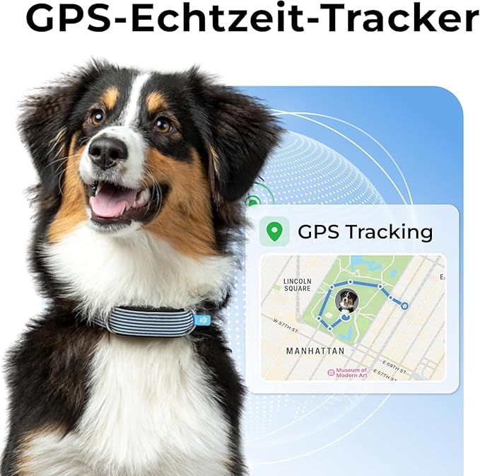 Invoxia Minitailz - Health & GPS Tracker for Dogs #1 - Cardiac and Respiratory Scan - Real-time Location - Activity and Well-Being Analysis - Compact, Lightweight, and Easy to Install