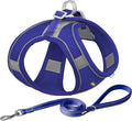 AIITLE Easy Walk Dog Harness and Leash Set - Pet Supply No Pull, Step in Adjustable Dog Harness with Padded Vest, Dog Harness No Choke Over, Easy to Put on Medium Dogs Royal Blue L