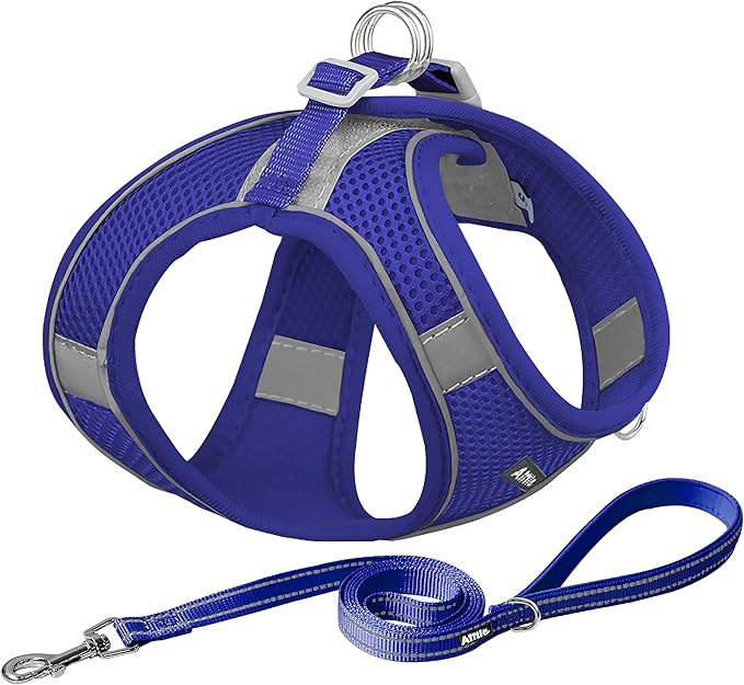 AIITLE Small Harness for Puppy with A Leash - Dog Vest Harness with Super Breathable Mesh, Reflective No-Pull Pet Harness for Outdoor Walking, Running for Small Dogs, Cats Royal Blue XXS