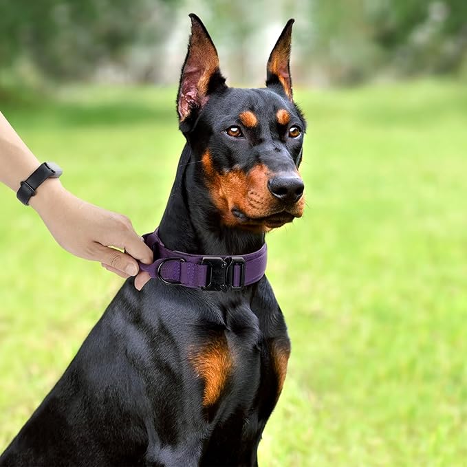 Tactical Dog Collar, Adjustable Military Training Nylon Dog Collar with Control Handle and Heavy Quick-Release Metal Buckle for Small Medium Large Dogs, Purple L