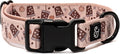 Lucy & Co. Dog Collar - Durable Lightweight Designer Collar for Pets - Adjustable Metal Safety Buckel. (Iced Coffee SZN Collar).