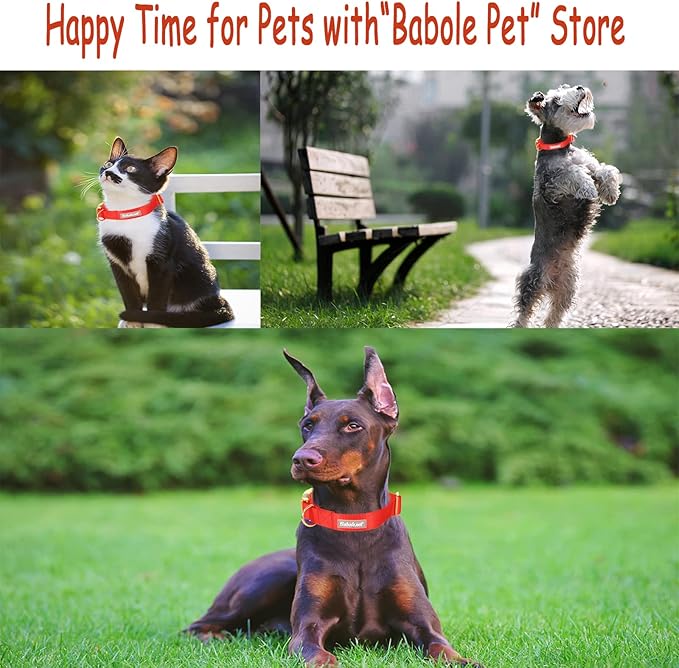 Nylon Dog Collar - Adjustable Red Soft Webbing Dog Collars for Small Medium Large Dogs Boy Girl Puppy Collar with Safety Metal Buckle XL