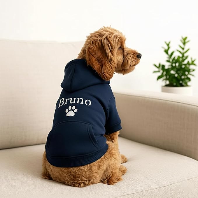 Personalized Dog Hoodie, Custom Embroidered Name Pet Hoodie, Warm Winter Outfit for Dogs, Pet Clothes, Gift for Dog Lovers 1