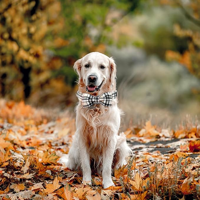 Dog Collar, Bow Dog Collar Plaid Pet Collar Dog Cute Pet Bow Soft Girl or Boy Dog Collars with Metal Buckle Adjustable Collar for X-Large Dogs