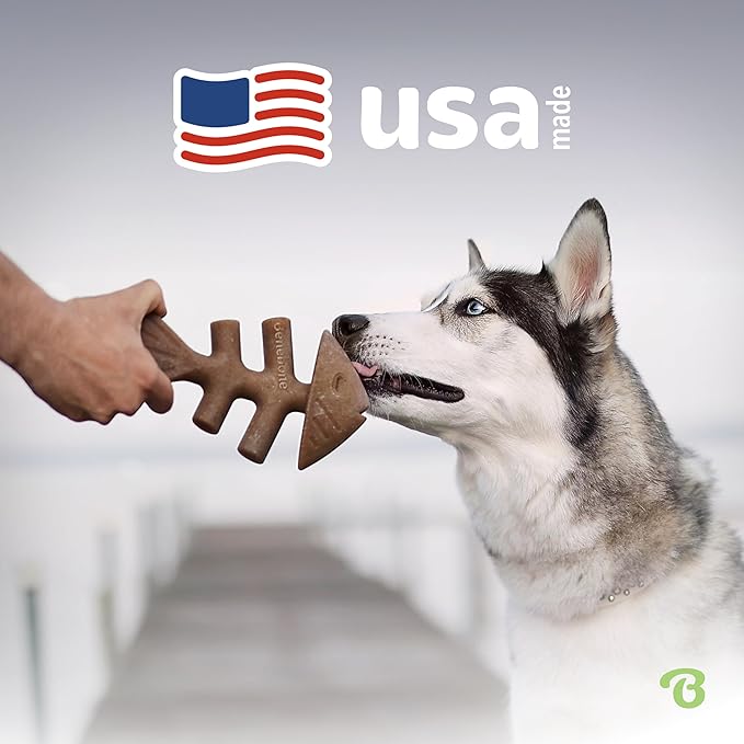 Benebone Fishbone Durable Dog Chew Toy for Aggressive Chewers, Real Fish, Made in USA, Medium