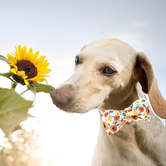Lionheart glory Dog Collar Bow Collar Floral Dog Collar with Bow Tie Spring Summer Cute Collar Dog Boy or Girl Dog Collars Soft Durable Adjustable Dog Collars for Small Dogs