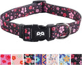 QQPETS Adjustable Soft Dog Collar: Print Flower Pink Multicolor Cute Patterns for XS Small Medium Large Pet Girl Boy Puppy Walking Running Training