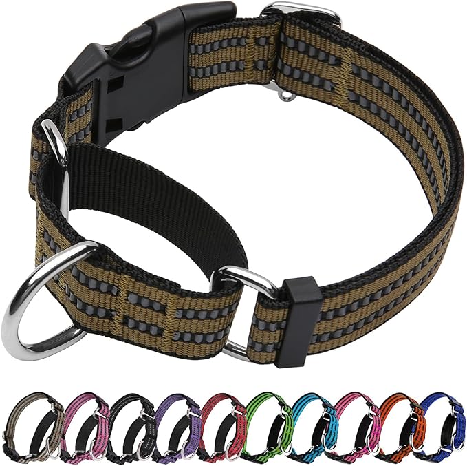 Martingale Dog Collar, Adjustable Nylon Reflective Collar with Buckle No Pull Dog Collar for Small Medium Large Dogs (ArmyGreen L)