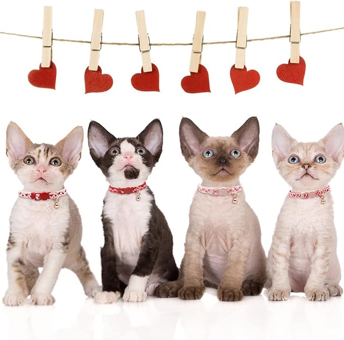 azuza 4 Pack Valentines Kitten Collar with Bell Valentines Day Breakaway Kitten Collars with Cute Heart Pattern Adjustable Size Suitable for Kittens