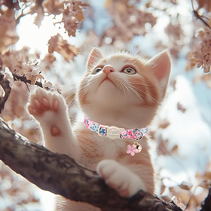 2 Pack Cotton Cat Collars - Cute Breakaway Cat Collar with Bell, Strawberry and Flower Pendant, Spring Summer Adjustable Kitten Collars for Girl Cats, Sweet Floral Fruit