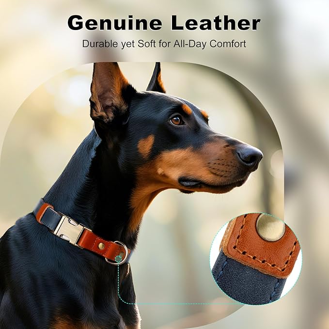 Plutus Pet Genuine Leather & Hemp Dog Collar – Adjustable Heavy Duty Pet Collar with Quick Release Metal Buckle, Soft & Stylish for Puppy and Small, Medium, Large Dogs (Blue, L)