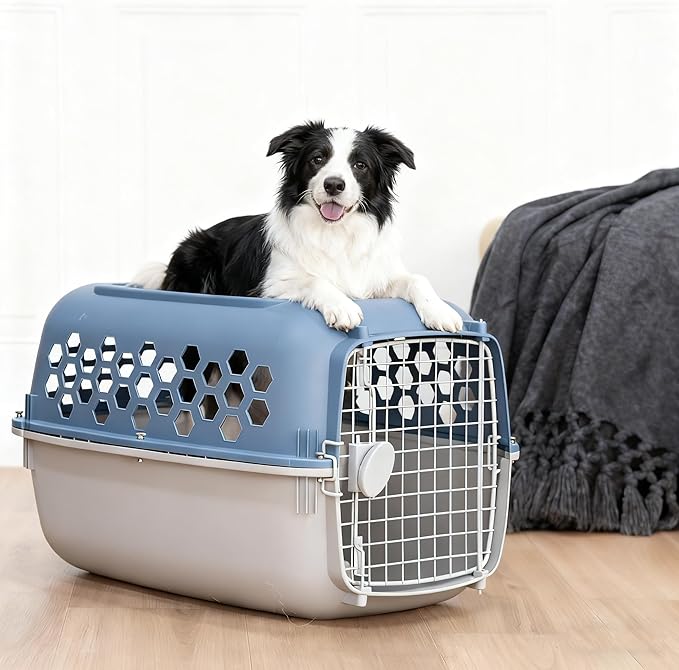 24" Pet Kennel Carrier for Small Dogs & Cats - Portable & Travel-Ready Two-Door (Top/Front Loading), Durable Blue Plastic
