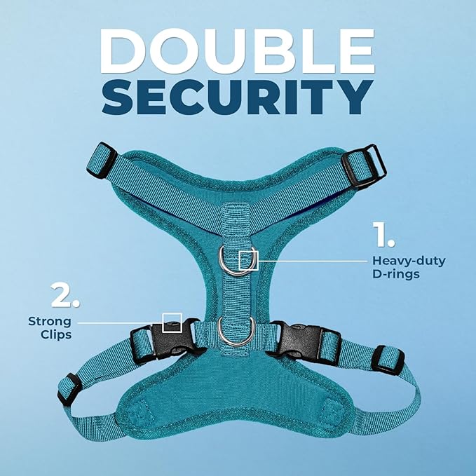 Voyager Step-in Pet Harness - All Weather Mesh, Adjustable Step in Harness for Cats and Dogs by Best Pet Supplies - Turquoise, XL