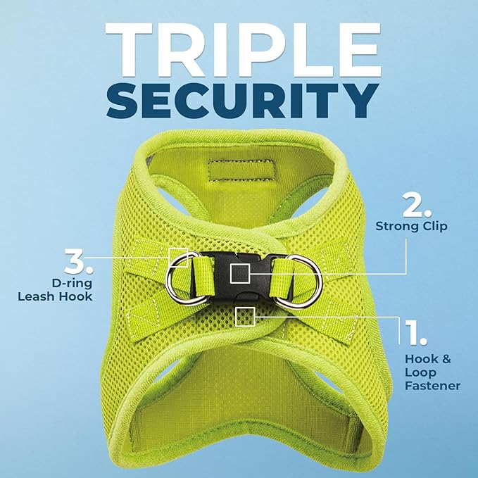 Best Pet Supplies Voyager Step-in Air All Weather Mesh Harness and Reflective Dog 5 ft Leash Combo with Neoprene Handle, for Small, Medium and Large Breed Puppies - Set (Lime Green), XS