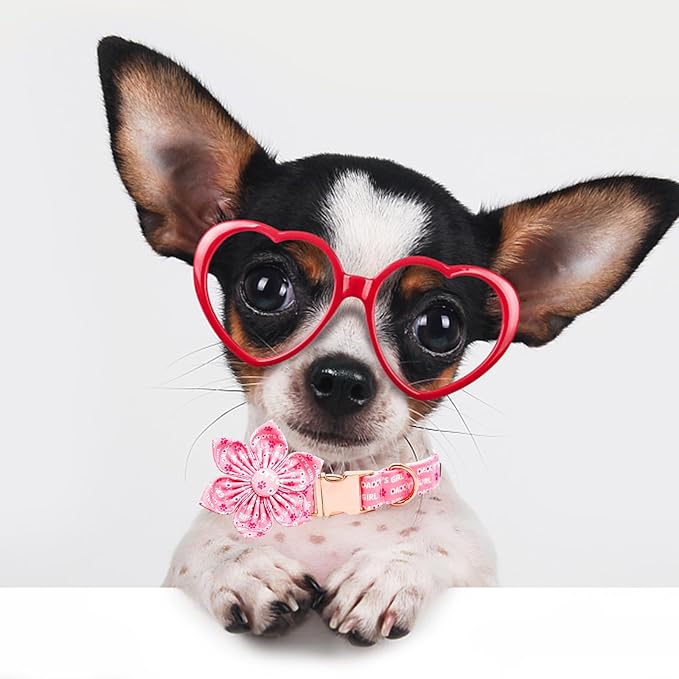 Lionheart glory Valentine's Day Dog Collar with Flower Dog Collars Pink Collars for Large Dogs, Spring Pet Puppy Collar Flowers