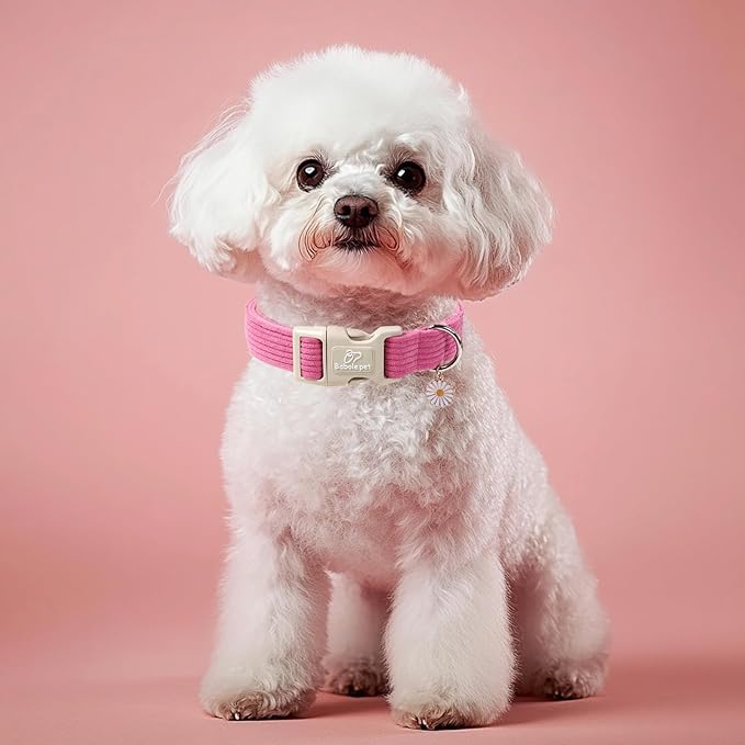 Cute Corduroy Dog Collar - Deep Rose Adjustable Dog Collars for Large Dogs 50-80lbs, Fade-Proof with Secure Snap & Little Charm, Christmas Birthday Gift, L