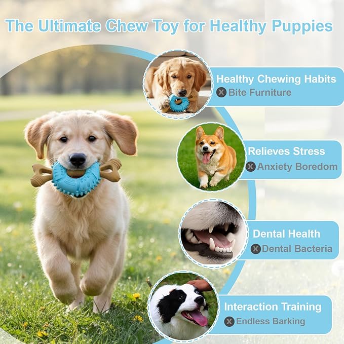 Dog Chew Toys, Indestructible Dog Toys for Aggressive Chewers - Small & Medium Breed, Durable Rubber Chew Bone Toy for Small Dogs, Tough Tire Dog Toy, Puppy toys for Teething, Anxiety & to Keep Busy