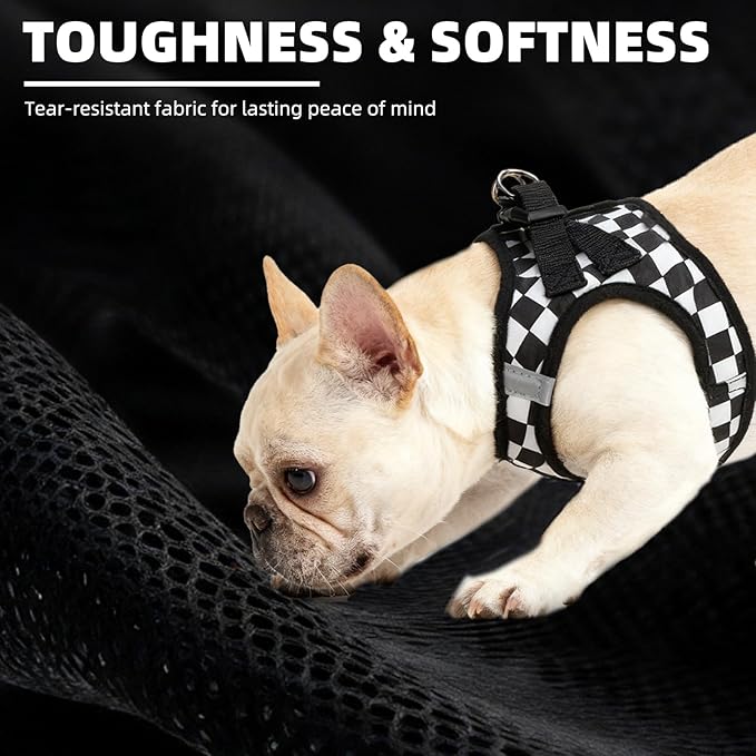 PUPTECK Adjustable Dog Harness Collar and Leash Set Step in No Pull Pet Harness for Small Medium Dogs Puppy and Cats Outdoor Walking Running, Checkered Black&White L
