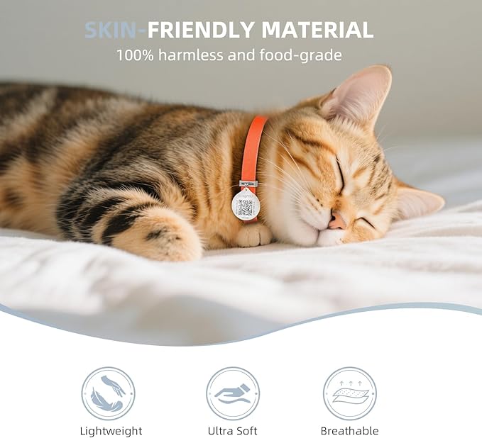 Cat Collar with Bell, Stretch Elastic Quick Release, Modifiable Pet Online Profile Page, Multiple Emergency Contact, Non Breakaway Lightweight Kitten Collar for Girl Cats, Pet Supplies, Gifts (Orange)