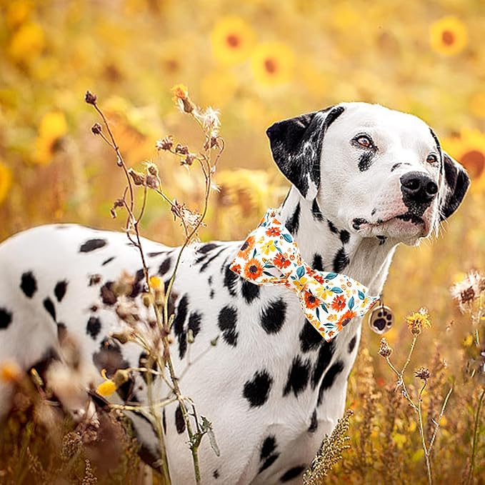 Lionheart glory Dog Collar Bow Collar Floral Dog Collar with Bow Tie Spring Summer Cute Collar Dog Boy or Girl Dog Collars Soft Durable Adjustable Dog Collars for Medium Dogs