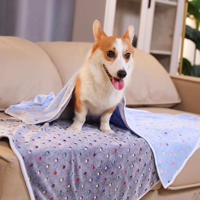 Luciphia 1 Pack 3 Blankets Super Soft Cute Dot Pattern Pet Blanket Flannel Throw for Dog Puppy Cat Small(23x16), Blue