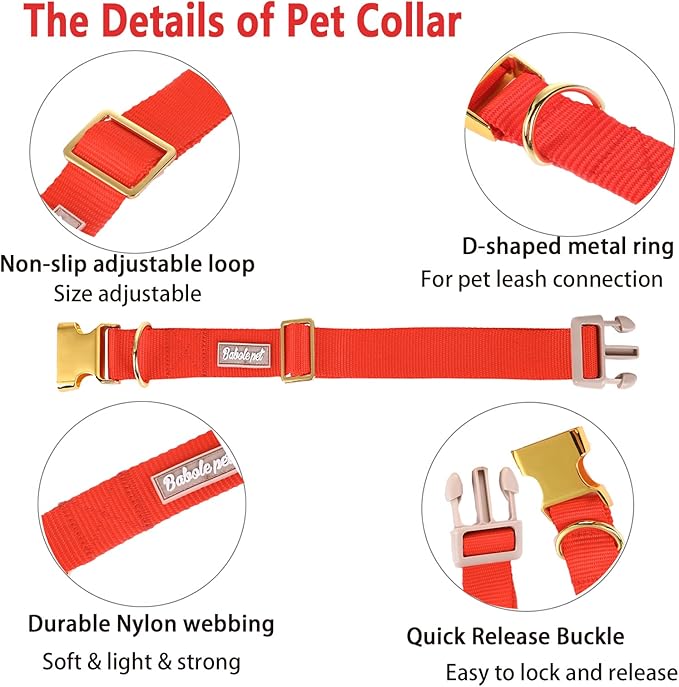 Nylon Dog Collar - Adjustable Red Soft Webbing Dog Collars for Small Medium Large Dogs Boy Girl Puppy Collar with Safety Metal Buckle M