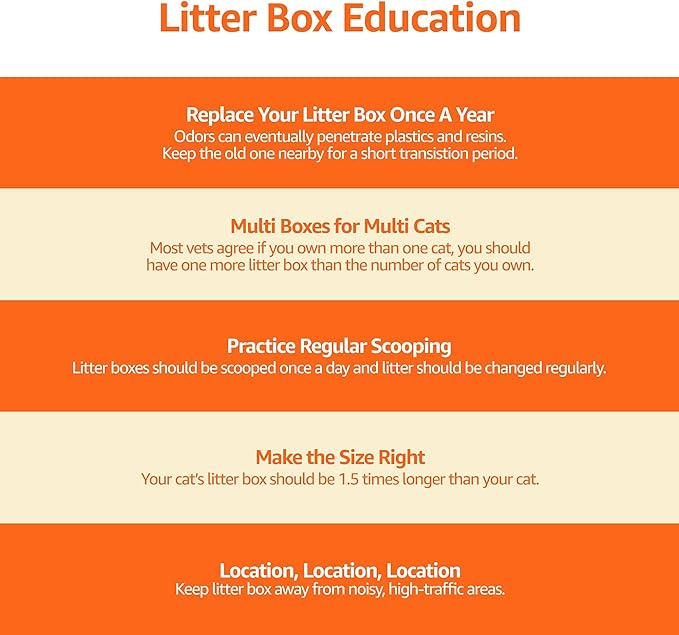 Amazon Basics Large Cat Litter Box with High Sides, Top Entry, Odor Control, Includes Scoop, 20.5 x 14.75 x 14.38 inches, Grey
